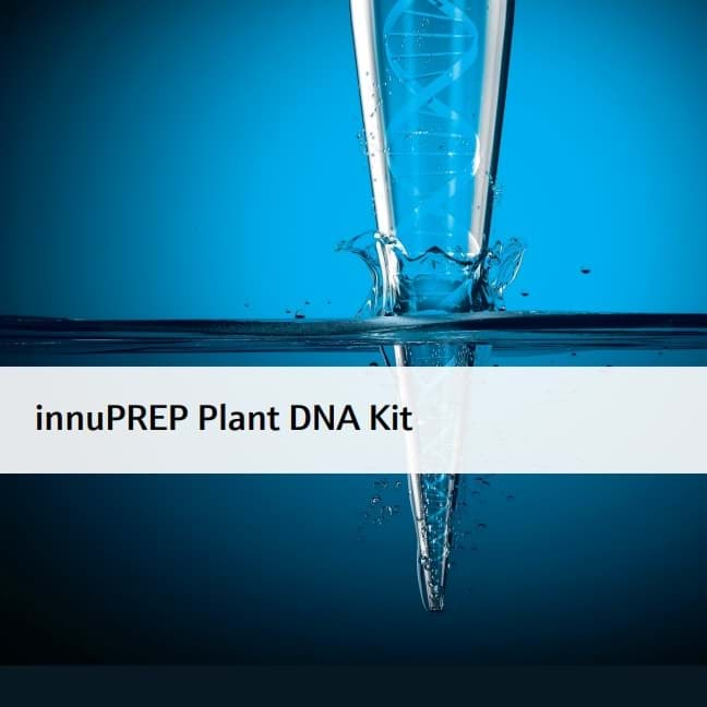 Plant DNA kit InnuPREP